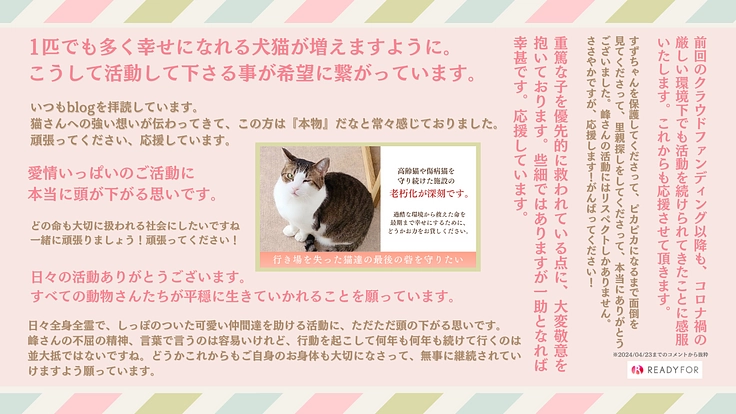 保護猫の最後の砦を守りたい。老朽化した施設の修繕と医療費にご支援を 2枚目
