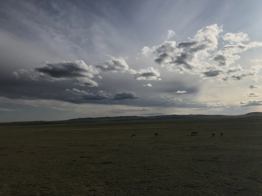 クラウドファンディング8日目のお礼です！