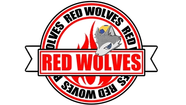 熊本県で新しく女子のハンドボールチームを設立します！ のトップ画像