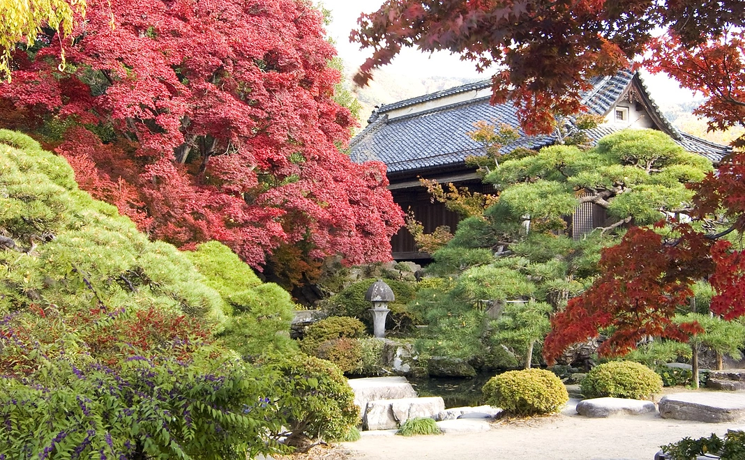 A｜入館招待券・絵葉書