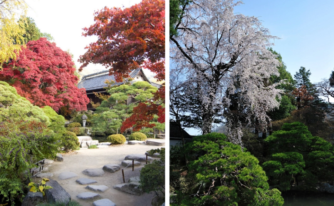 B｜クラウドファンディング限定 絵葉書セット