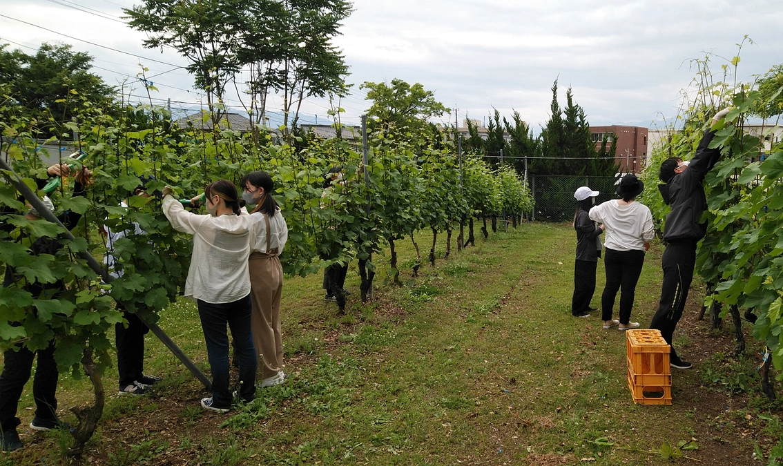 残り10日となりました