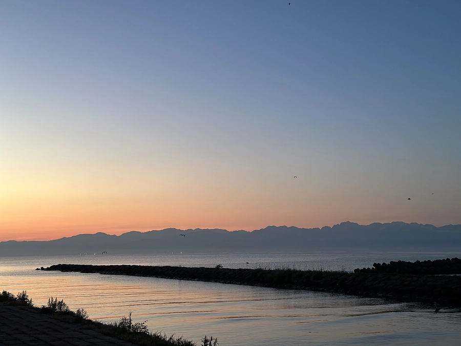 お披露目会をします！