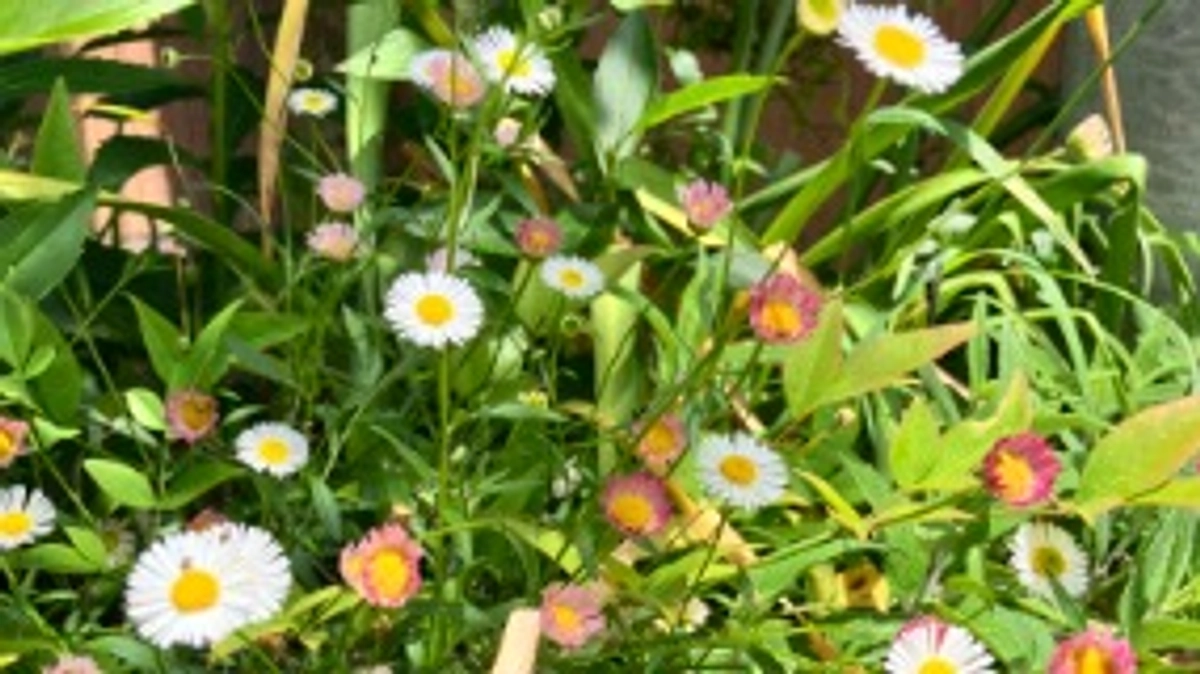 【活動報告⑧】リターンのお届け状況について