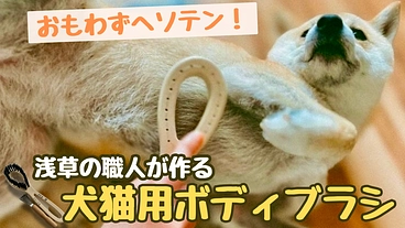 痛くないから怖くない　怖くないから気持ちいい　犬猫用ボディブラシ のトップ画像