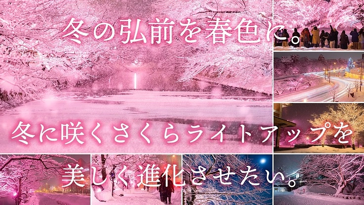 冬の弘前を春色に。冬に咲くさくらライトアップを美しく進化させたい。