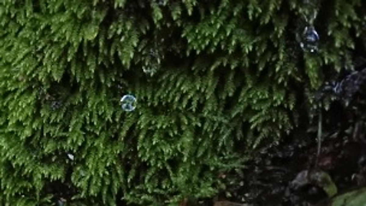 道南の江差にて