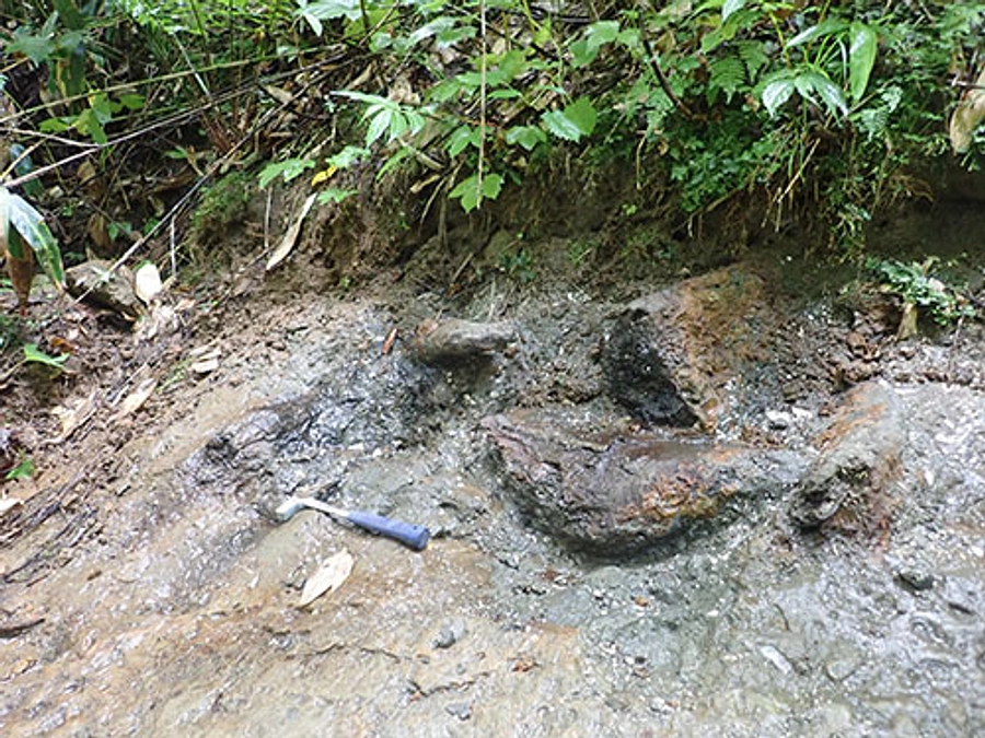 ご報告1：40%に到達しました！　皆様のご支援に心より感謝いたします