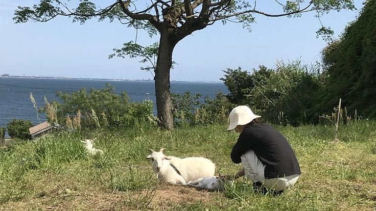 ピクチャレスク(絶景)農場で心身共にリフレッシュしたい人向け処方箋