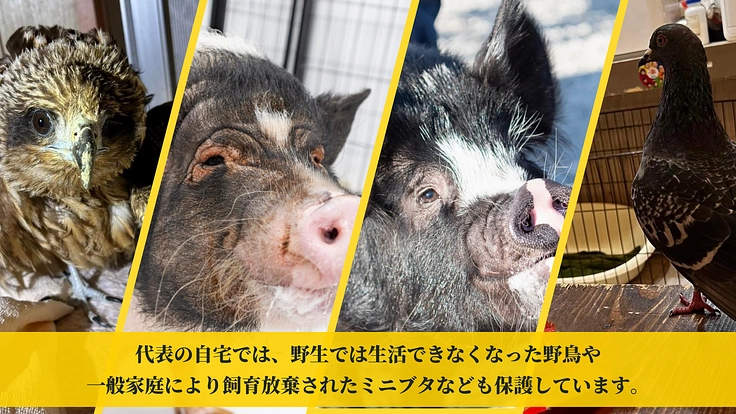 共に築く未来~皆がGUARDIANとなりこの子たちの基地の為に~ 3枚目