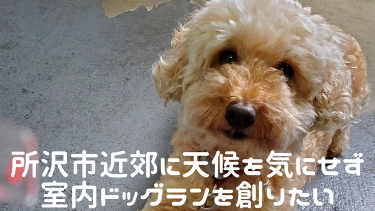 所沢市近郊に天候を気にせず安心、安全な室内ドッグランを創りたい