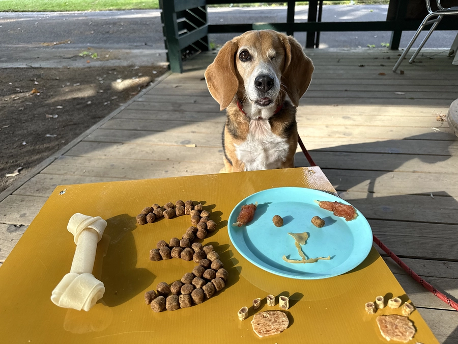 【クラファン活動報告63】130%達成！！