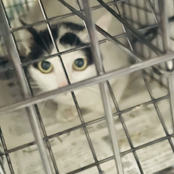 ケガの赤ちゃん元気です❣️