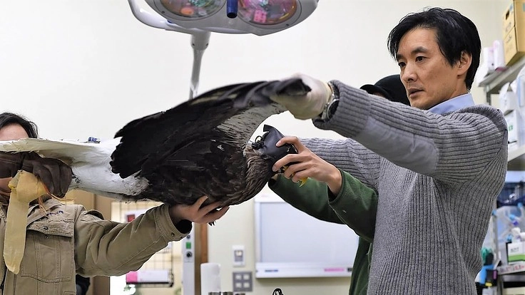 野生に帰れない希少猛禽類の命を繋ぎ、活躍の場を与え、より良い共生へ