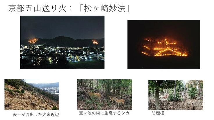 防鹿柵設置により、植物再生・表土流出防止を行い、妙法の火床を守る。