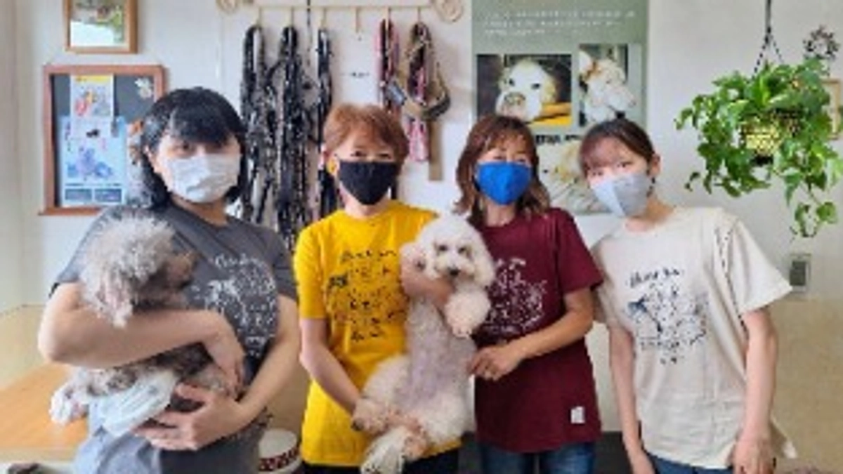 シェルターの様子＆期間限定チャリティーグッズのお知らせ