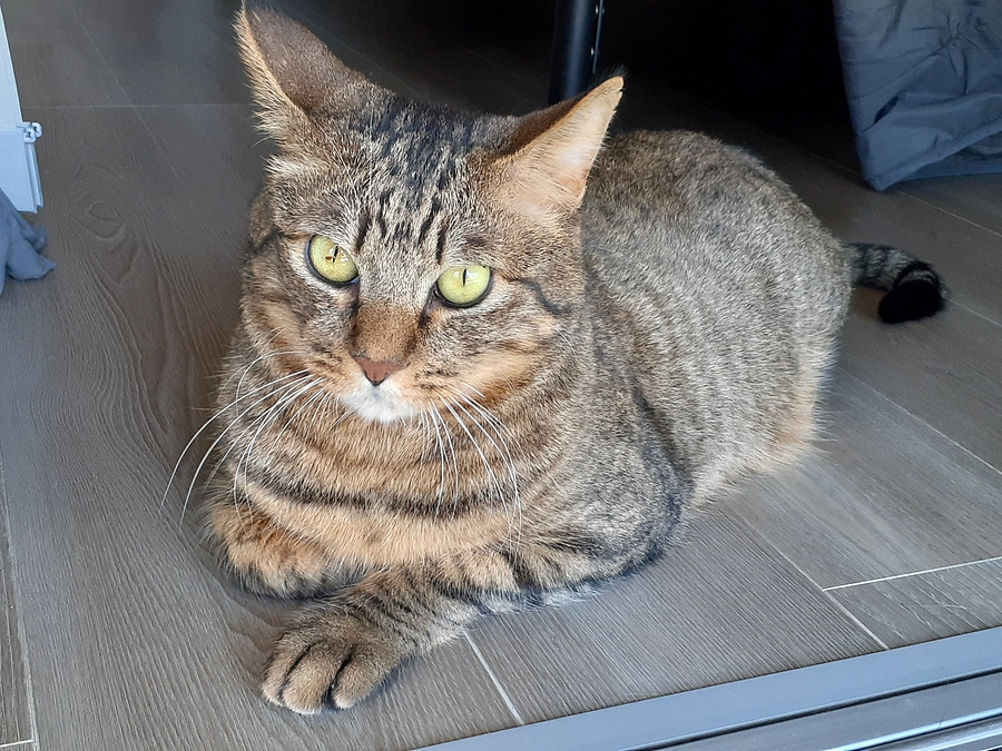 22日(水)柴田町ゆるぷらの写真でお見合い会のご報告