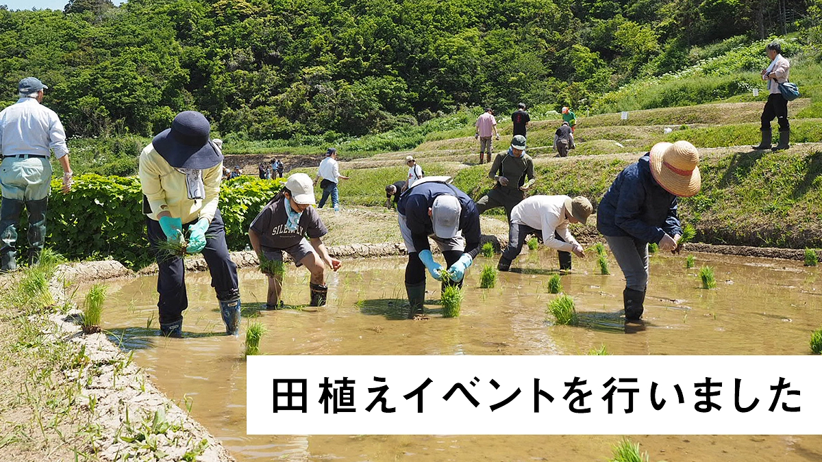 田植えイベントを行いました