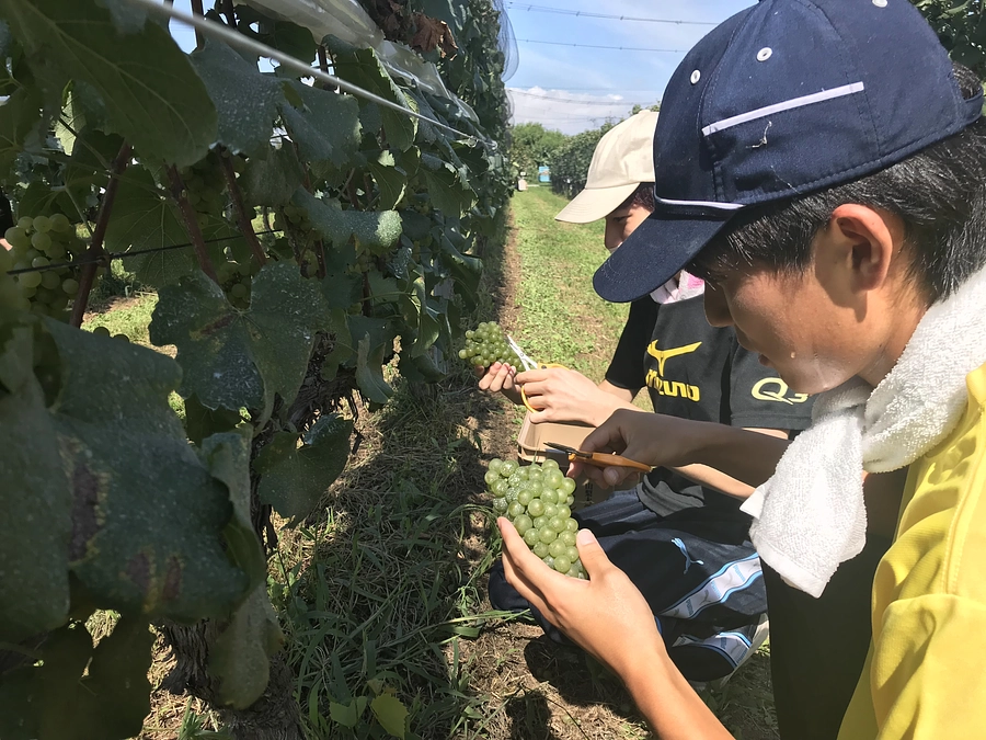 【残り3日】これまでにいただいた応援コメントのご紹介