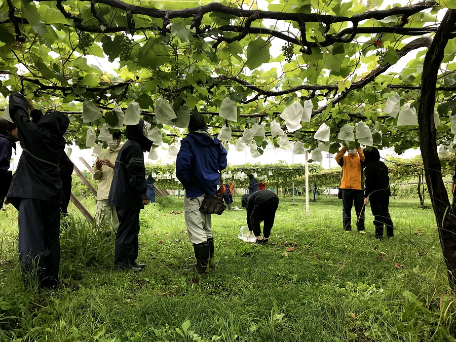 終了まで、残り1日！
