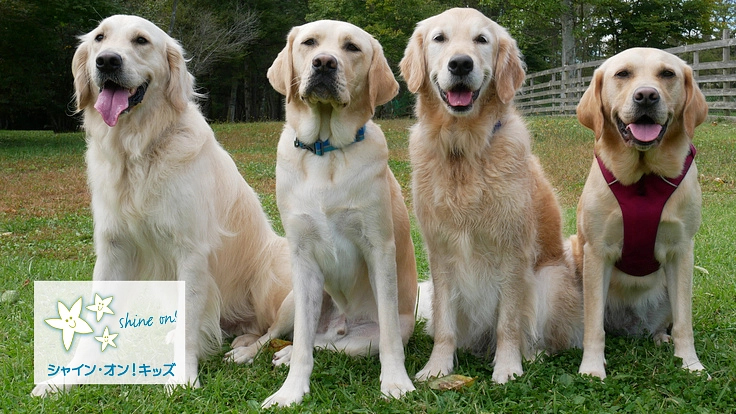 「入院中の子どもたちを笑顔に」の先へ　心のケアでつなぐ家族と未来