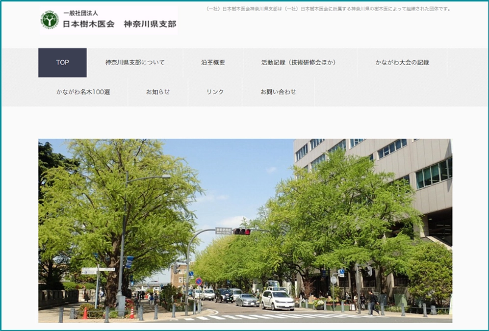 たまくすの主治医!?　日本樹木医会神奈川県支部（かながわ樹木医会）のご紹介