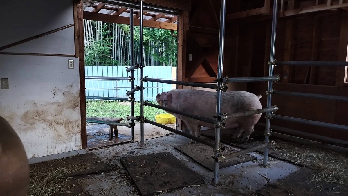 友ちゃんが外に出られない・・・