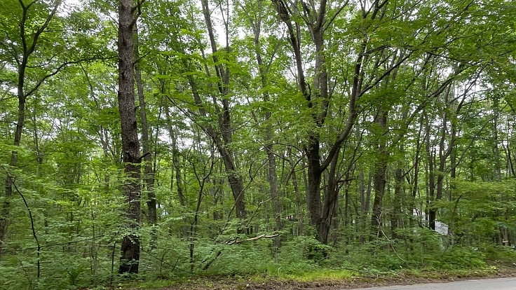 1日1組限定の会員制プライベートキャンプ場、第一弾@北軽井沢
