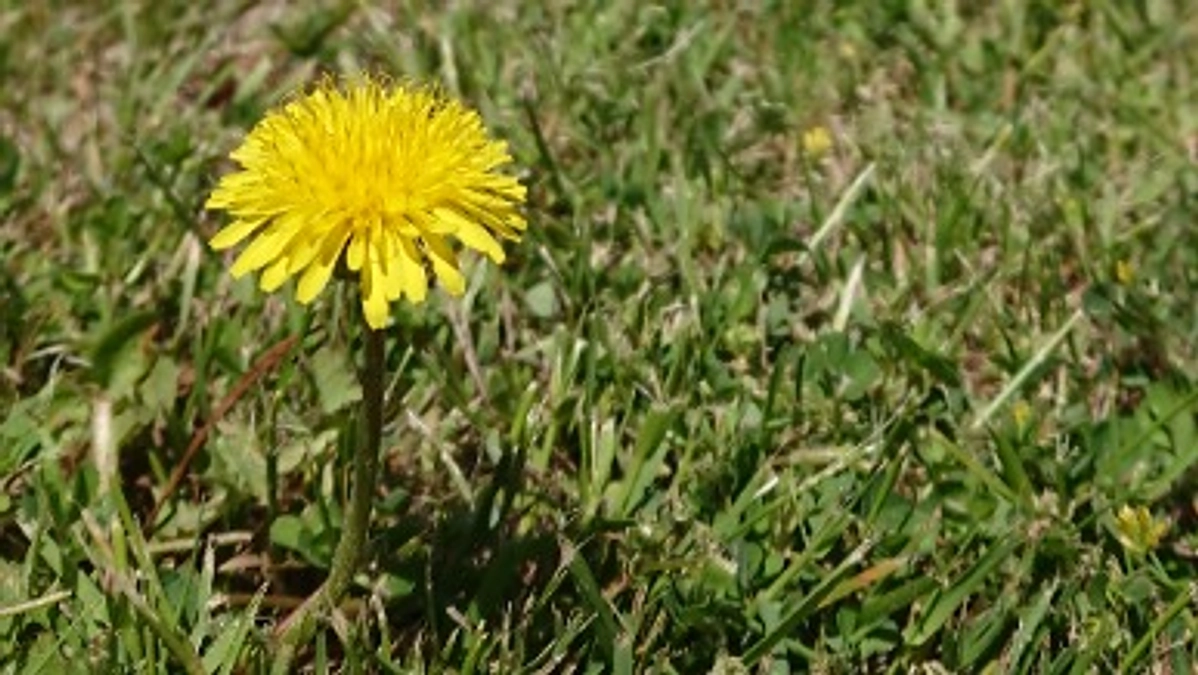 応援メッセージ②