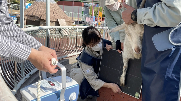 共に生きる命のために｜甲府市遊亀公園附属動物園に医療機器を届けたい