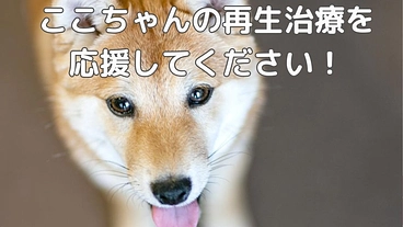 ありがとうございました