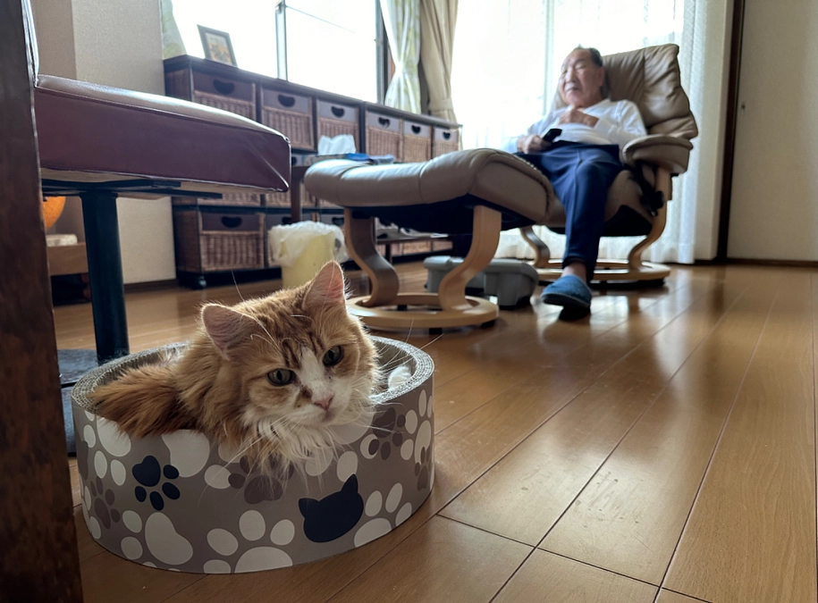 論告求刑と最終弁論 — そして、判決へ《後編》