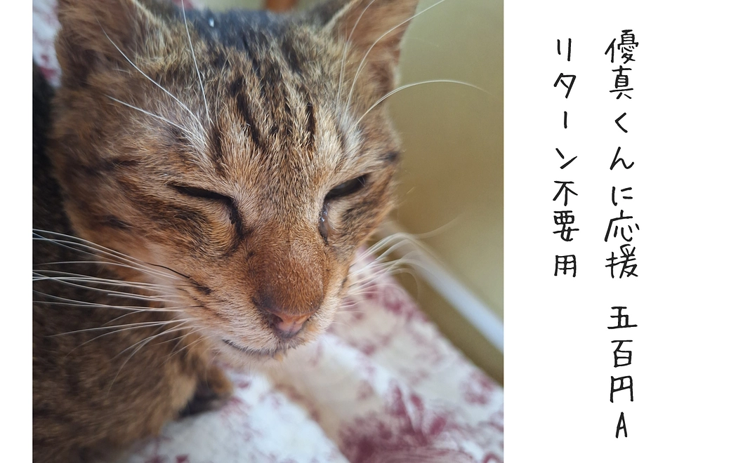 優真くんに応援 500円A