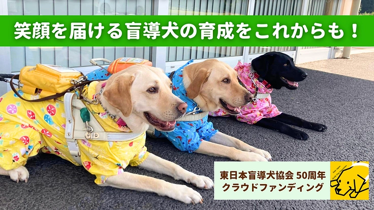 東日本盲導犬協会50周年|視覚障がい者を支える盲導犬事業にご支援を