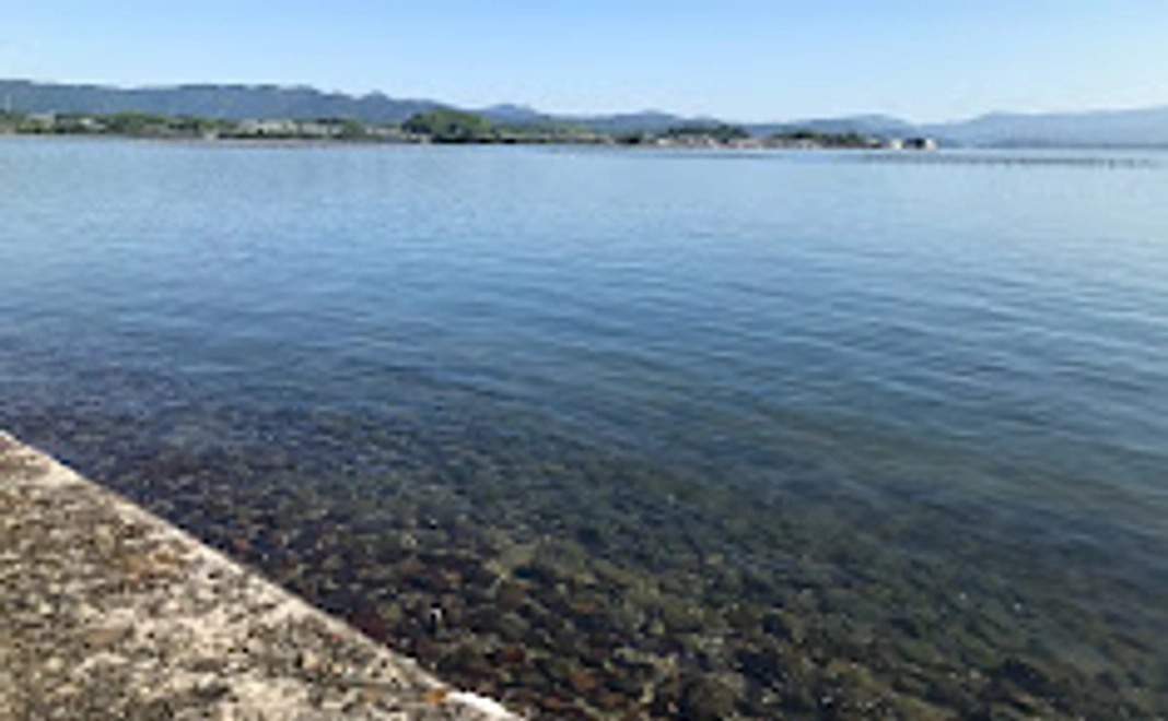 #2古民家改修・農泊施設開設支援 5,000円コース A