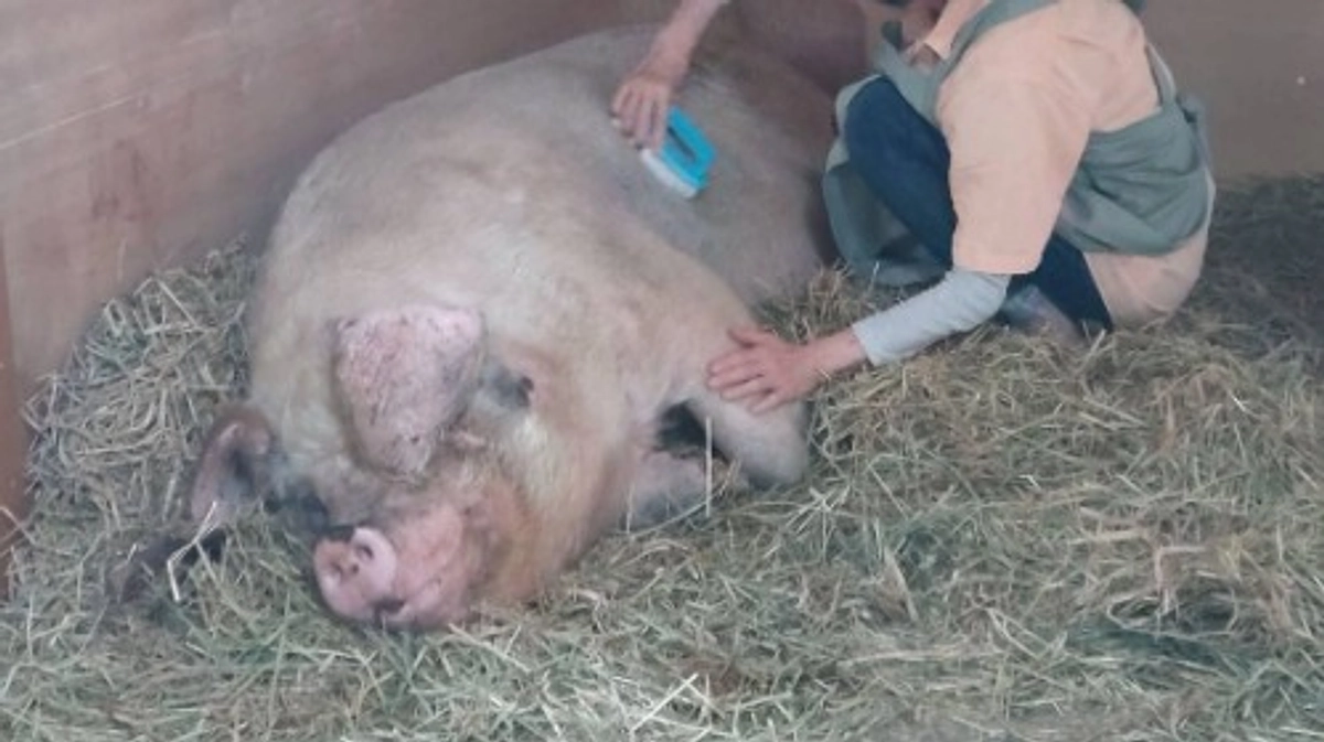 メッセージをいつも楽しみにしています