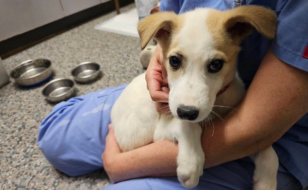 【リターン不要】全力応援｜3千円