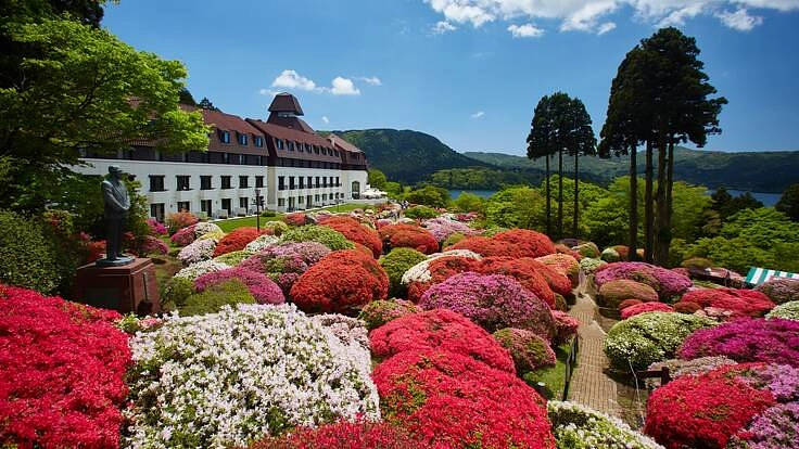 江戸時代作出のつつじを後世へ、箱根・小田急山のホテルの新たな挑戦！
