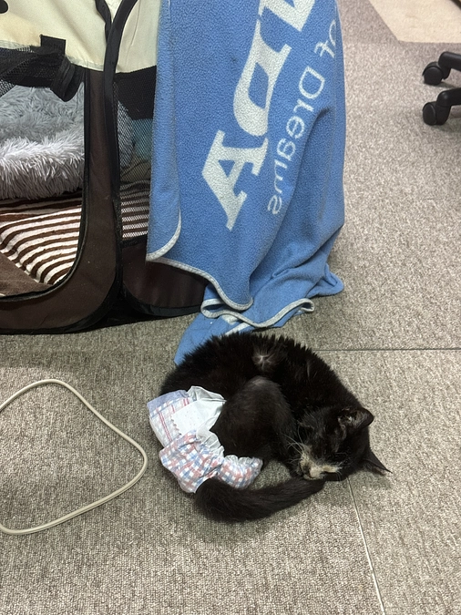 物資支援のご報告