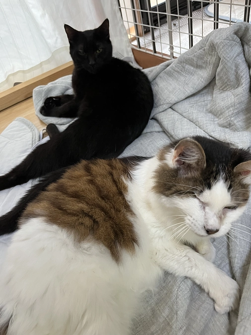 【活動報告】4月末の助成金応募の結果について