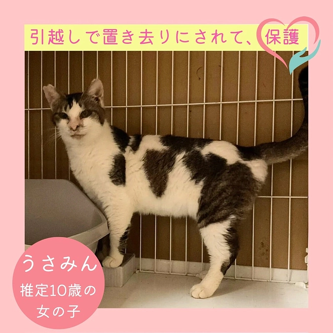 身勝手な人間の被害者は、いつも罪なき可愛い子