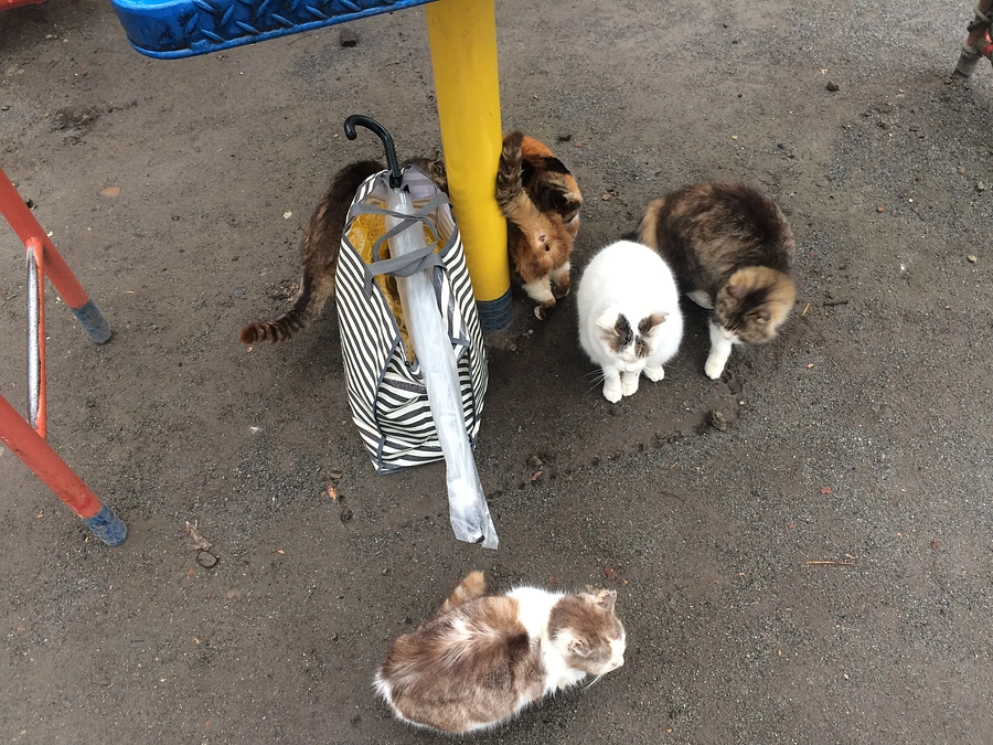 皆さんに、感謝の気持ちを込めて。