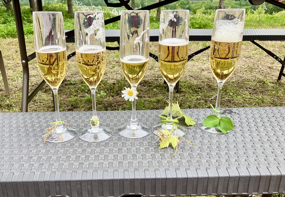 SEIZE THE DAY「THE WORLD」Report-12