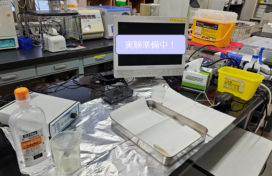 プロジェクトの折り返し地点まで来ました！心より感謝申し上げます。