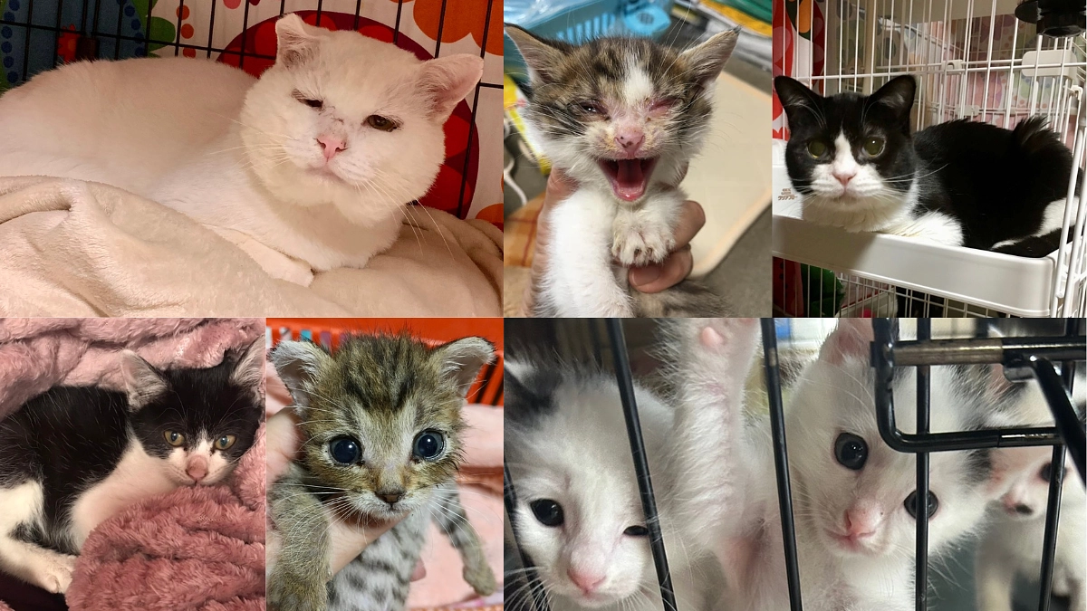 代表土井から皆様へ、大切なお知らせ