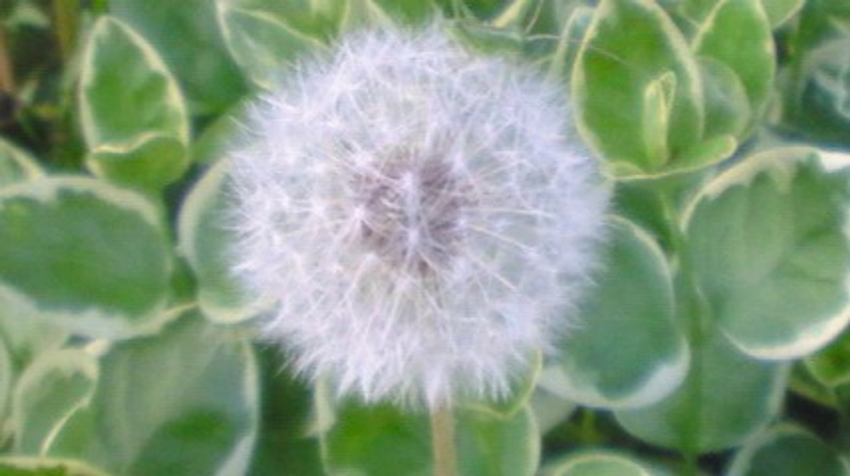 残り2日！応援メッセージのご紹介