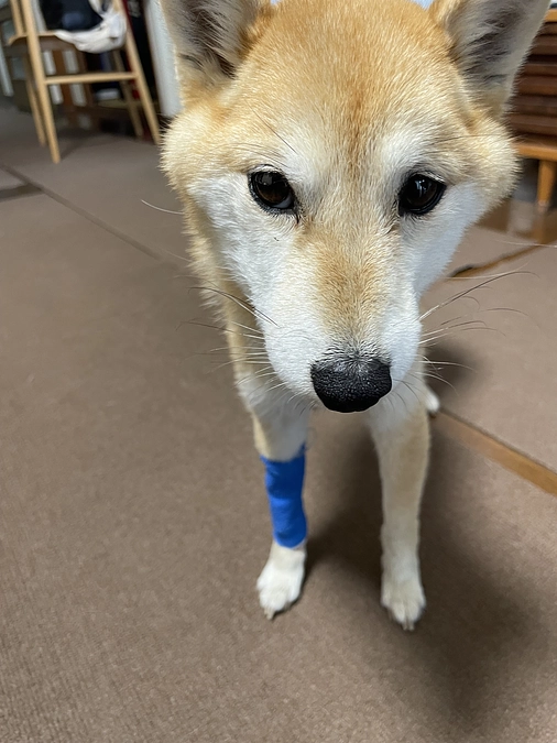 本当にありがとうございました。