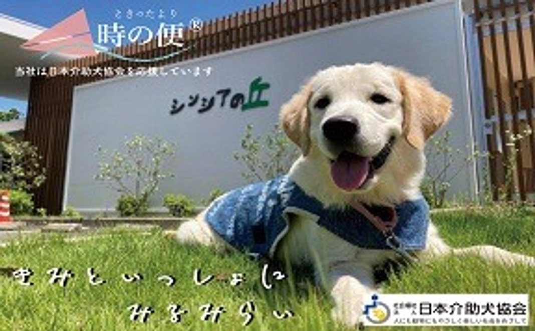 【未来への手紙】時の便り A