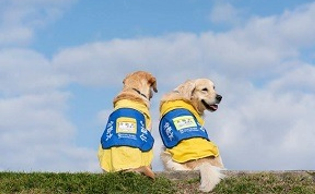 介助犬ポストカード A