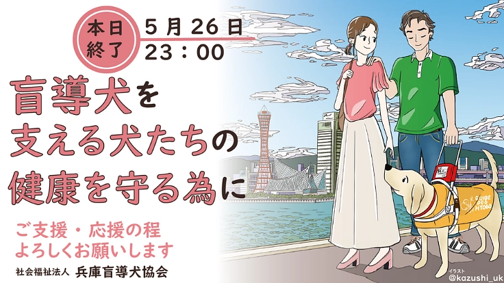 盲導犬の明日を守りたい!繁殖犬・パピー・訓練犬 医療費にご支援を